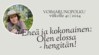 Voimarunopolkujen lakaisukalenteri viikolle 41  2024 [upl. by Sheri]