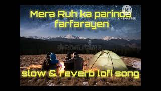 mera ruh ka parinda farfarayen lofi songs🎵 slow ampreverb songs🎵 viralvideo lofisong  viralsong 🥰🥰 [upl. by Anees]