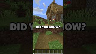 More Minecraft FACTS [upl. by Araldo]