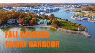 Fall Colours at Friday Harbour Resort Innisfil Ontario  Drone 4k [upl. by Eppillihp]