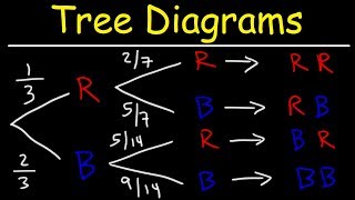 Probability Tree Diagrams [upl. by Uile]