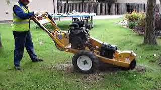 Carlton SP2000 Stump Grinder 475mm Petrol [upl. by Bolten]