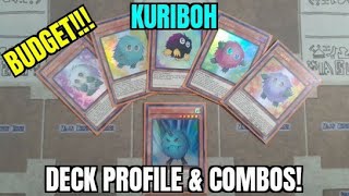 Budget Kuriboh Deck Profile amp Combo Tutorial December 2021 [upl. by Eelirrem52]