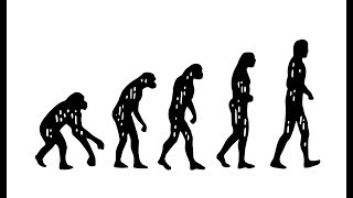 What is Darwin’s Theory of Evolution [upl. by Atnomed]