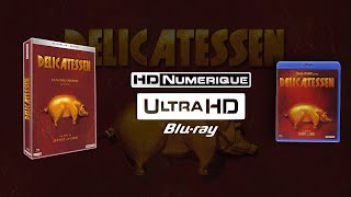 Delicatessen 1991  4K Ultra HD vs Bluray Comparison [upl. by Maffa]