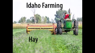 Hay Farming at the Moore Farm [upl. by Eimirej]