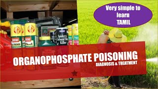 ORGANOPHOSPHATE POISONINGPATHOPHYSIOLOYDIAGNOSISTREATMENT EXPLAINED SIMPLE IN TAMIL [upl. by Azaria]