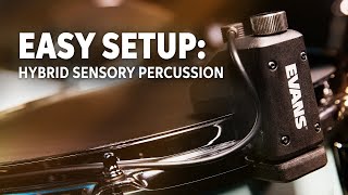 Evans Hybrid Sensory Percussion Easy Setup and Sound Design [upl. by Erleena]