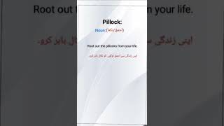 Pillock meaning pillock sentence English vocabulary [upl. by Eelta]