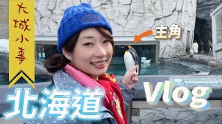 【大城小事】北海道十天之旅！札幌→旭川 旭山動物園、旭川拉麵村 [upl. by Ulrica]