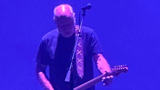 Comfortably Numb Part 1 David Gilmour Live at Madison Square Garden November 6th 2024 [upl. by Iaj]