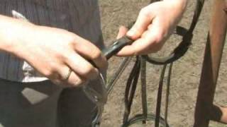 How to Attach a Snaffle Bit [upl. by Saffian]