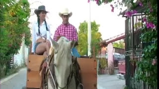 La Bandononona Rancho Viejo de Julio Aramburo  Amor Ligero Video Oficial [upl. by Acir]