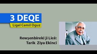 Rewsenbîrekî ji Licê Tarik Ziya Ekîncî [upl. by Noreh360]