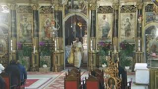 Episcopia GrecoCatolică de Oradea Live Stream [upl. by Willie524]