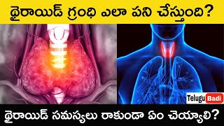 How Thyroid Gland Works Explained In Telugu  How to Cure Thyroid Problem  How to Control Thyroid [upl. by Katie]