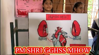 PM SHRI GGHSS MHOW SCIENCE EXHIBITION study viralvideo education science vigyan [upl. by Lund]