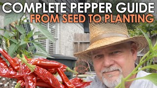 How to Grow Peppers from Seed to Planting  Black Gumbo [upl. by Jehoash]