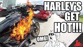 Harleys get HOT Monitoring Engine Temps Vol 01  Harley Dyna Low Rider S [upl. by Timms]