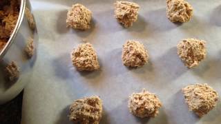 Lactation Cookie Recipe [upl. by Ahtenek]