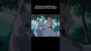 Model for Princess Mononokes Wolf  Japanese Wolf ghibli anime japanetravel [upl. by Whitebook]