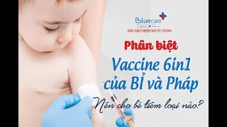 Sự khác nhau giữa vacxin 6in1 loại của Bỉ hay Pháp bố mẹ đã biết  Bluecare [upl. by Leamsi]