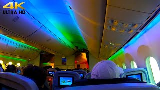 Flight Review  Comfort Class TUI Boeing 7878 Dreamliner [upl. by Lahcar]