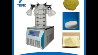 TF10C Vacuum Freeze DryerLyophilizer [upl. by Feltie]