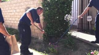 Fireman gets deadly bite from rattlesnake [upl. by Elak819]