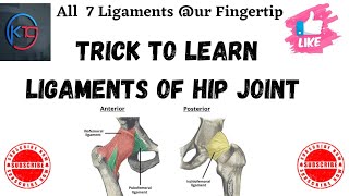 Trick to learn Ligament of Hip joint  Ligaments of Hip joint  hip joint  ligament mnemonicTrick [upl. by Kanter966]