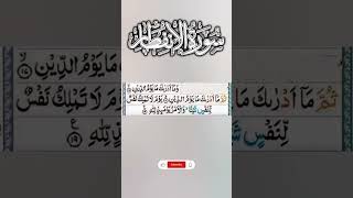 surah Al infitar beutiful voice short trending islamic viral video [upl. by Isyak822]