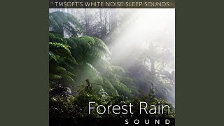 Forest Rain Sound [upl. by Denie358]