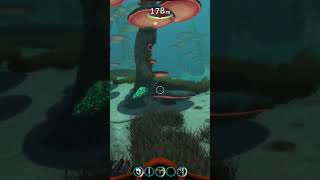 Subnautica We found an Alien vent [upl. by Yremogtnom]