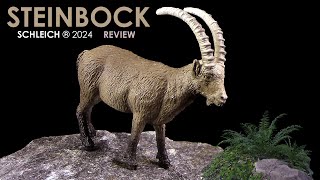 Schleich ® Steinbock  Neuheit 2024 New  Wild Life Review [upl. by Aonian]