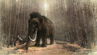 La Extinción Del Último Mamut En La Tierra [upl. by Ratcliffe]