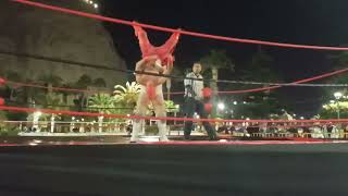 POWERBOMB  BACKBREAKER AND BOSTON CRAB [upl. by Meara]