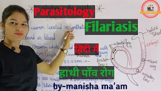 Filariasis हाथीपाँव  wuchereria bancrofti  Microfilaria  Mlt Lecture  Parasitology [upl. by Ahsaei]