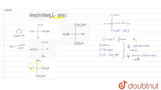 Among the following L serine is [upl. by Eahsram]
