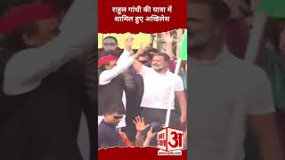 Bharat Jodo Nyay Yatra Rahul Gandhi की यात्रा में शामिल हुए Akhilesh Yadav  Amar Ujala [upl. by Valentine863]