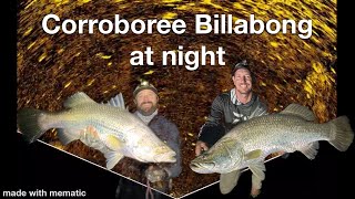 Corroboree Billabong at night [upl. by Dnumyar]