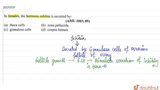 In females the harmone inhibin is secreted by [upl. by Liban230]