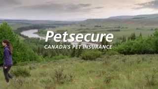 Petsecure New Commercial [upl. by Imer699]