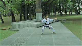 Tang Soo Do  Chil sung chil Ro [upl. by Mandy]