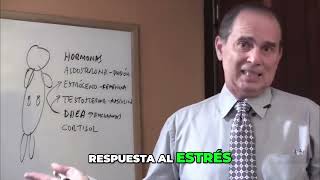 Testosterona y Cortisol Cómo el Estrés Afecta tus Hormonas [upl. by Soisatsana]