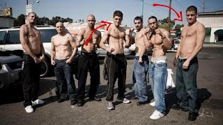 The Diaz Brothers The Biggest Gangsters in combat sports [upl. by Halil182]