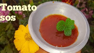 Tomato sos  tomato sos recipe  RB Mini Cooking  টমেটো সস [upl. by Snej]