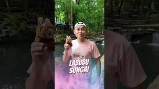 Labubu Renang di Sungai 🏊 [upl. by Fredella]