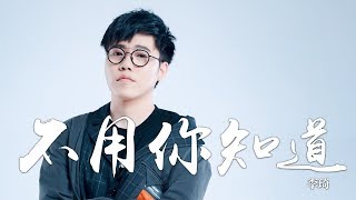 李琦 《不用你知道》電視劇九州·天空城2插曲｜CC歌詞字幕 [upl. by Friedberg]