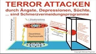 Psychosomatik Ursachen DOKU Ängste Depressionen Sucht Burnout sind Schutzprogramme KS Therapie [upl. by Eillah563]