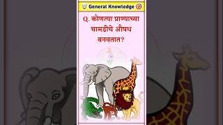 जनरल नॉलेज  Daily Gk  Quiz Today  Current Affairs  Question Answer  General Knowledge [upl. by Jeddy]